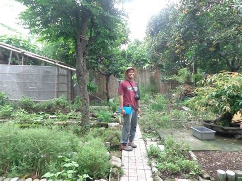 landscaper in tagalog|LANDSCAPE: Tagalog.